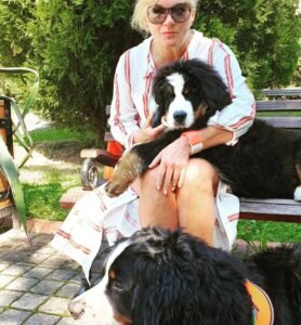 bernese mountain dog puppy for sale near me