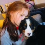 cheap bernese mountain dog puppies for sale