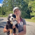 bernese mountain dog puppy for sale