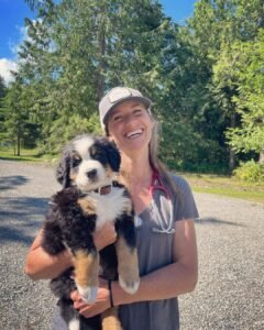 bernese mountain dog puppy for sale