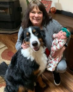 bernese mountain dog puppies for sale washington state