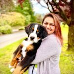 bernese mountain dog puppies for sale washington state