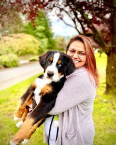 bernese mountain dog puppies for sale washington state