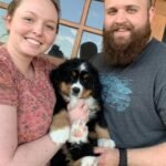 bernese mountain dog puppies for sale washington state